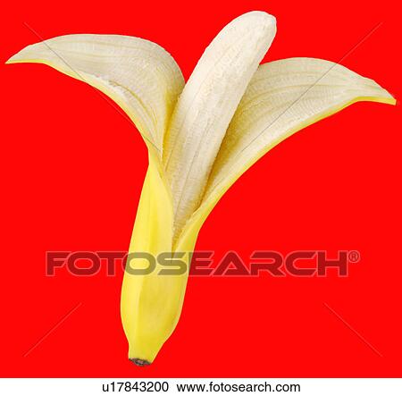 Single Banana on Red - Non Exclusive View Large Photo Image Stock Image - Single Banana on Red - Non Exclusive. Fotosearch