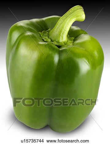 Single green pepper View Large Photo Image Picture - Single green pepper. Fotosearch