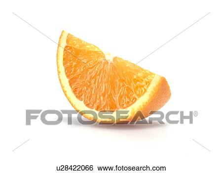 Single Orange Slice - Non Exclusive View Large Photo Image Stock Photograph - Single Orange Slice - Non Exclusive. Fotosearch