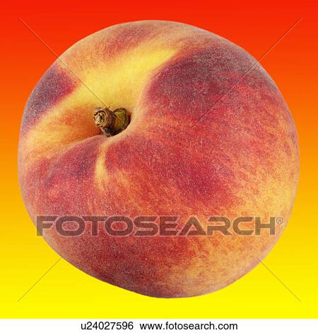 Single peach View Large Photo Image Stock Photograph - Single peach. Fotosearch