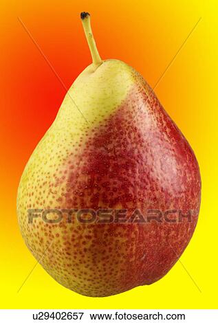 Stock Photo - Single pear. Fotosearch
