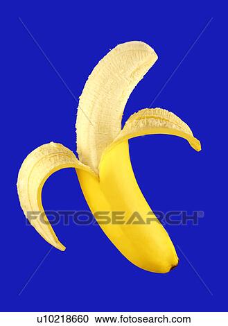 Single peeled banana on blue View Large Photo Image Stock Image - Single peeled banana on blue. Fotosearch