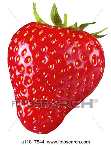 Picture - Single Strawberry on White - Non Exclusive. Fotosearch