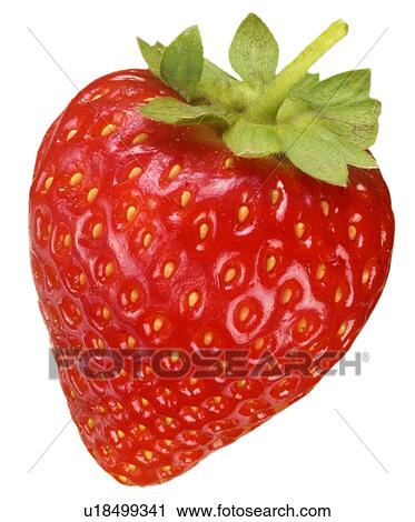 Stock Image - Single Strawberry on White - Non Exclusive. Fotosearch