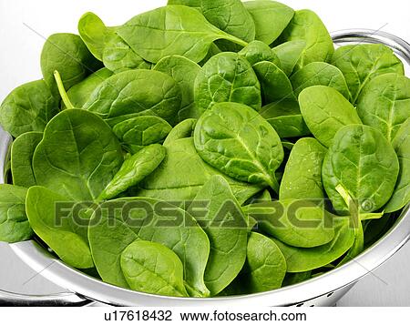 Stock Image - Spinach Leaves In Colander. Fotosearch