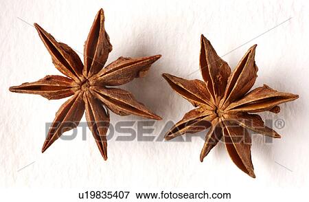 Stock Photo - Star anise. Fotosearch