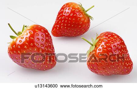 Strawberries - Non Exclusive View Large Photo Image Stock Image - Strawberries - Non Exclusive. Fotosearch