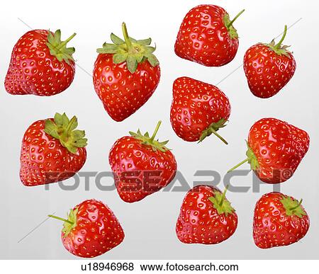 Strawberries - Non Exclusive View Large Photo Image Stock Photo - Strawberries - Non Exclusive. Fotosearch