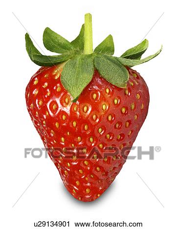 Strawberry on white View Large Photo Image Stock Image - Strawberry on white. Fotosearch