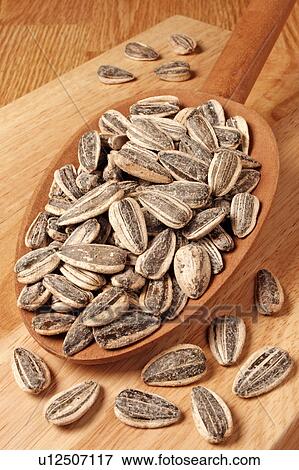 Stock Photo - Sunflower Seeds. Fotosearch