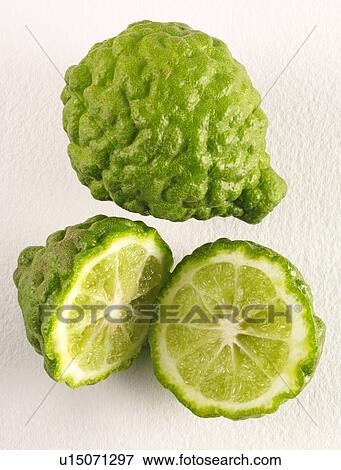 Stock Photo - Thai Kaffir Limes. Fotosearch