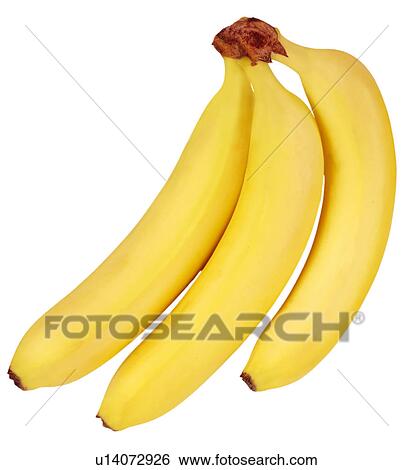 Stock Photograph - Three Bananas on White - Non Exclusive. Fotosearch