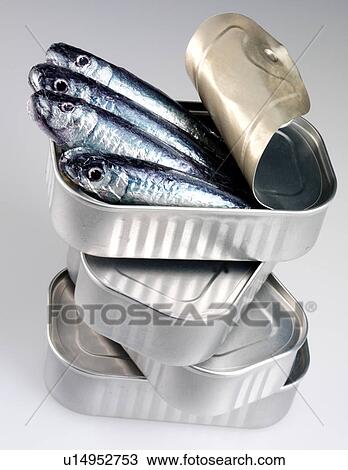 Stock Image - Tins of Sardines - Non Exclusive. Fotosearch