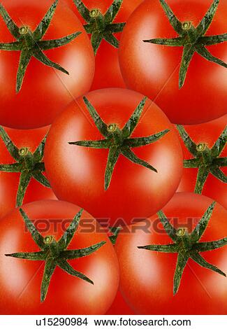 Tomatoes View Large Photo Image Picture - Tomatoes. Fotosearch