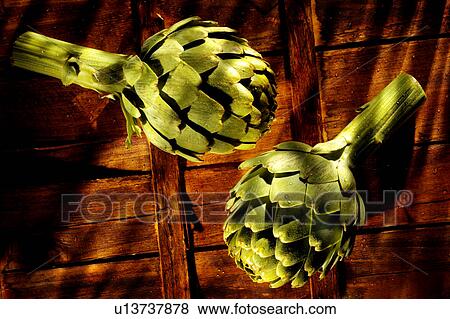Stock Photo - Two artichokes. Fotosearch