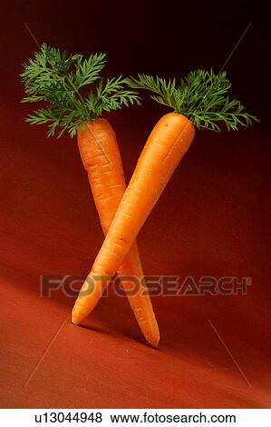 Stock Photo - Two carrots, pas de deux. Fotosearch