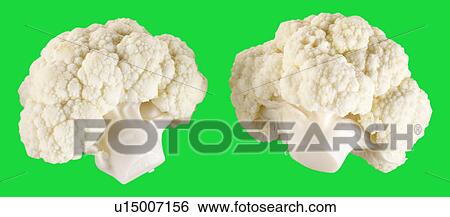 Stock Photograph - Two cauliflower florets on green. Fotosearch