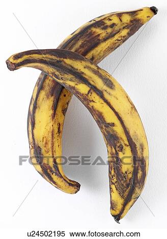 Stock Photography - Two Plantains - Non Exclusive. Fotosearch