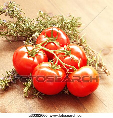 Vine tomatoes and rosemary View Large Photo Image Stock Image - Vine tomatoes and rosemary. Fotosearch