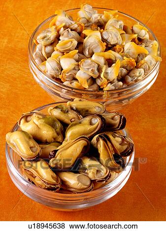 Welsh Mussels And Cockles - Non Exclusive View Large Photo Image Stock Photo - Welsh Mussels And Cockles - Non Exclusive. Fotosearch