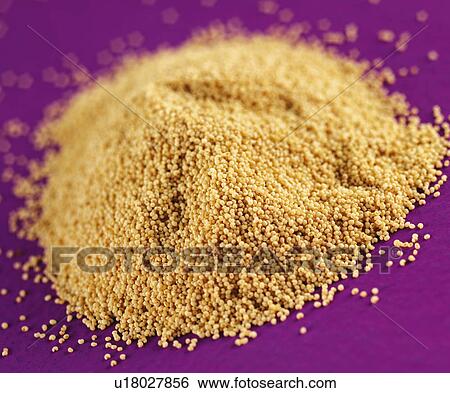 White Poppy Seeds - Non Exclusive View Large Photo Image Stock Photograph - White Poppy Seeds - Non Exclusive. Fotosearch