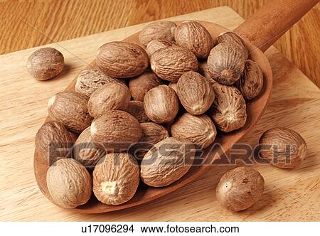 Whole Nutmeg View Large Photo Image Picture - Whole Nutmeg. Fotosearch
