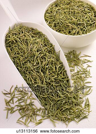 Stock Photograph - Wild Rosemary in Scoop - Non Exclusive. Fotosearch