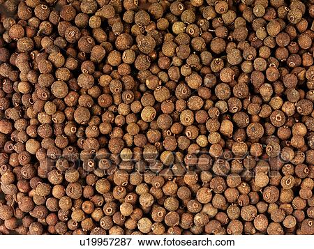 Stock Photo - Allspice. Fotosearch