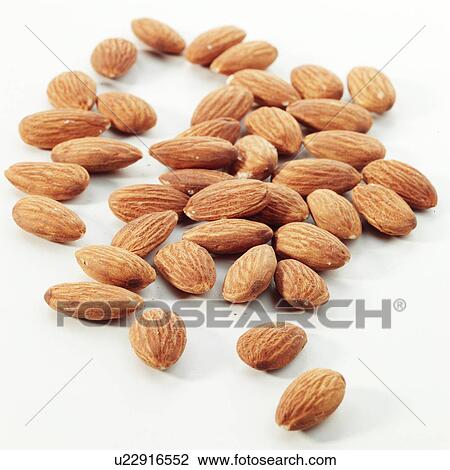 Almonds View Large Photo Image Stock Image - Almonds. Fotosearch