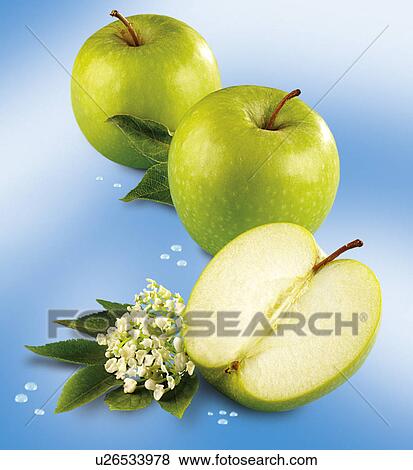 Stock Photo - Apple And Elderflower - Non Exclusive. Fotosearch