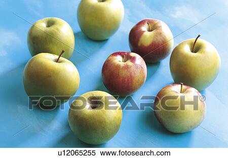 apples View Large Photo Image Stock Photography - apples. Fotosearch