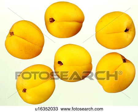 Stock Image - Apricots - Non Exclusive. Fotosearch