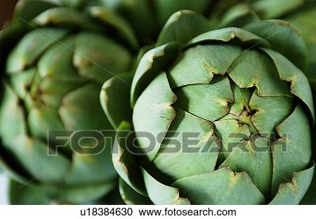 Artichoke,, close-up View Large Photo Image Stock Image - Artichoke,, close-up. Fotosearch