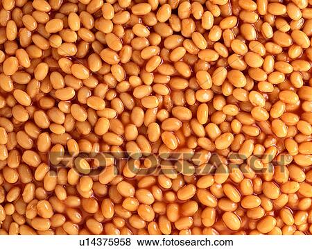 Stock Photo - Baked beans. Fotosearch