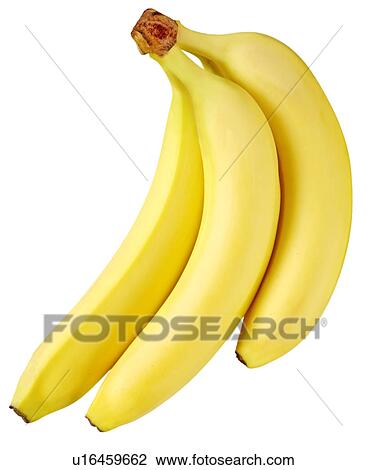 Stock Image - Bananas on White - Non Exclusive. Fotosearch