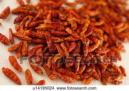 Picture - Birdseye Chillies. Fotosearch