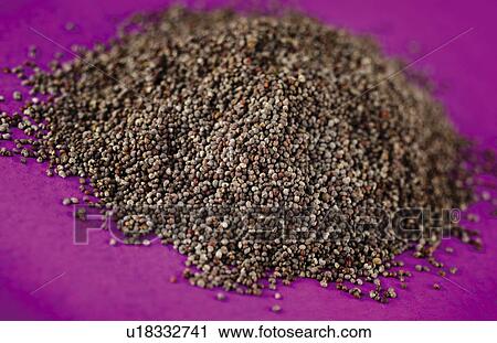 Stock Image - Black Poppy Seeds - Non Exclusive. Fotosearch