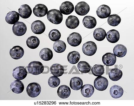 Stock Photograph - Blueberries - Non Exclusive. Fotosearch