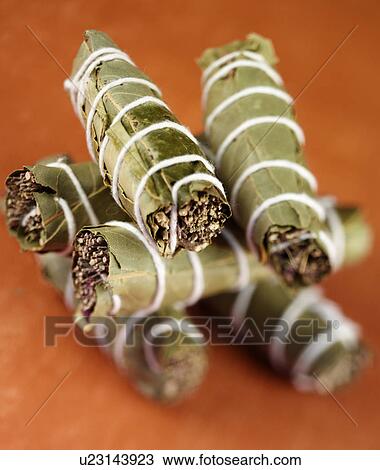 Bouquet Garni - Non Exclusive View Large Photo Image Stock Image - Bouquet Garni - Non Exclusive. Fotosearch