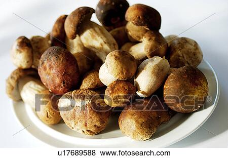 Stock Photo - Bowl of wild mushrooms. Fotosearch