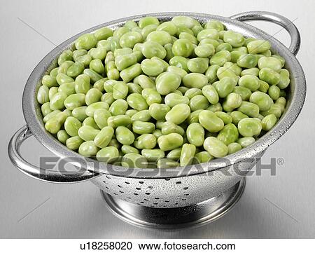 Broad Beans In Colander View Large Photo Image Stock Image - Broad Beans In Colander. Fotosearch
