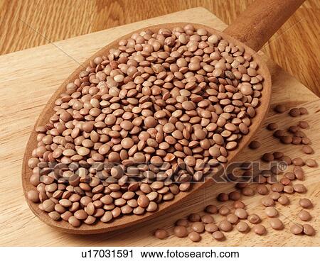 Stock Image - Brown Lentils. Fotosearch