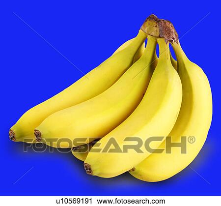 Bunch of bananas on blue View Large Photo Image Stock Image - Bunch of bananas on blue. Fotosearch