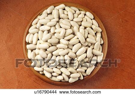 Picture - Cannellini beans. Fotosearch