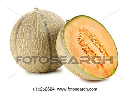 Cantaloupe melon View Large Photo Image Picture - Cantaloupe melon. Fotosearch