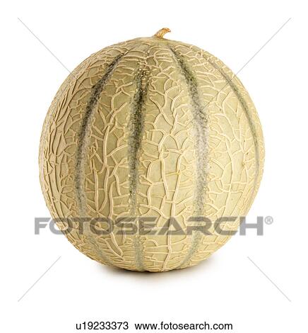 Cantaloupe melon View Large Photo Image Stock Image - Cantaloupe melon. Fotosearch