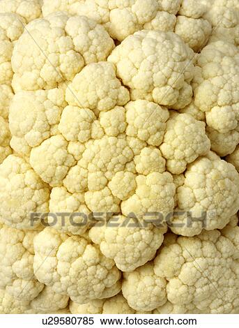 Stock Photography - Cauliflower. Fotosearch