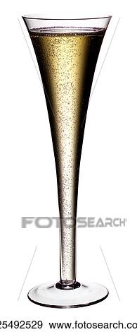 Champagne Flute on White - Non Exclusive View Large Photo Image Stock Photo - Champagne Flute on White - Non Exclusive. Fotosearch