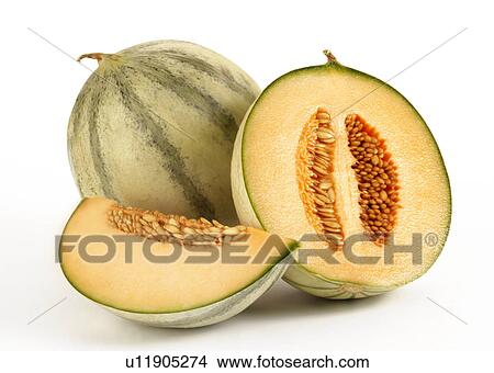 Charentais melon View Large Photo Image Picture - Charentais melon. Fotosearch