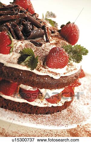 chocolate gateaux View Large Photo Image Stock Photo - chocolate gateaux. Fotosearch